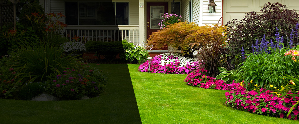 Paw Paw Landscapers